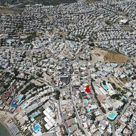 Art & Interiors ボドルム